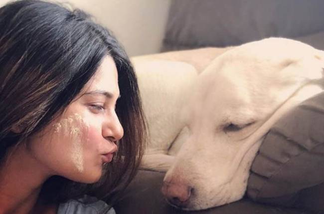 On Holi, Jennifer Winget makes an appeal to Spare The Stray
