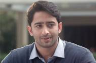 I am ready for commitment: Shaheer Sheikh